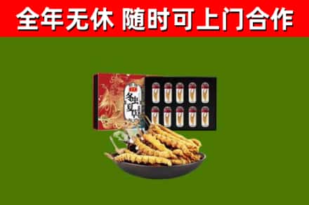 麻章区回收冬虫夏草价格
