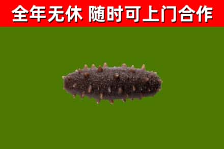 麻章区烟酒回收干海参.jpg
